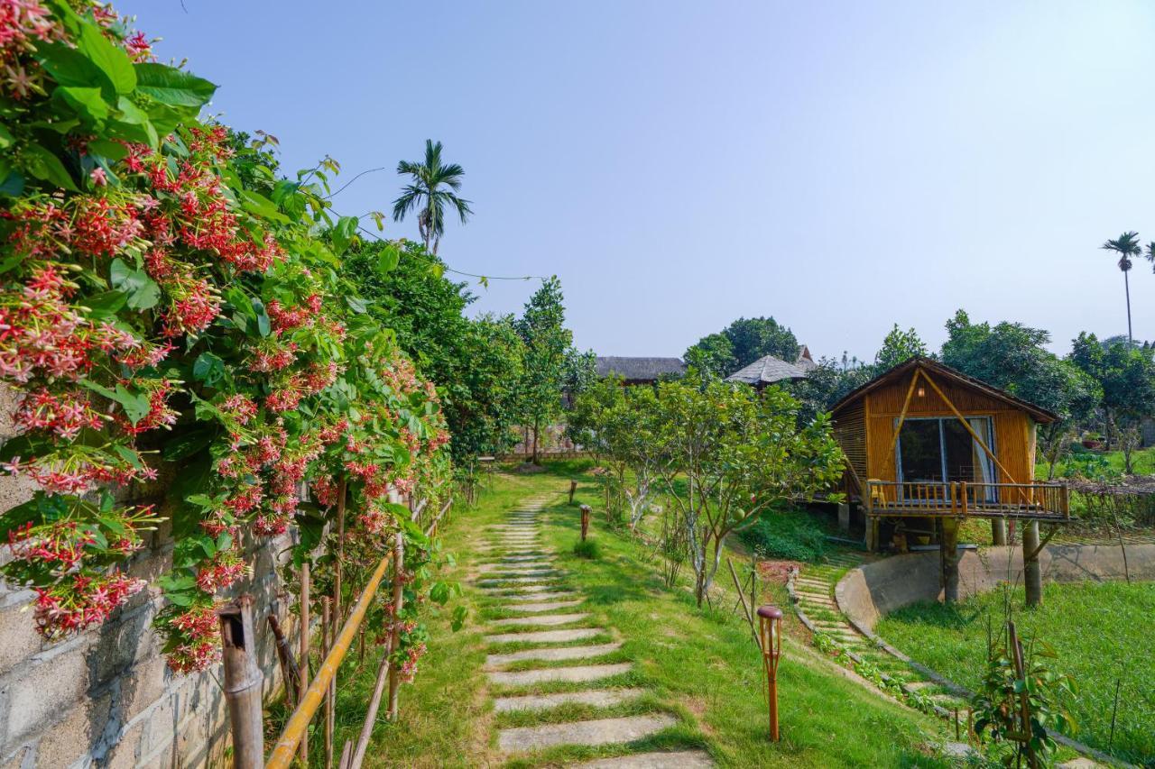 Hotel Little Bee House Trai Vang Exterior foto