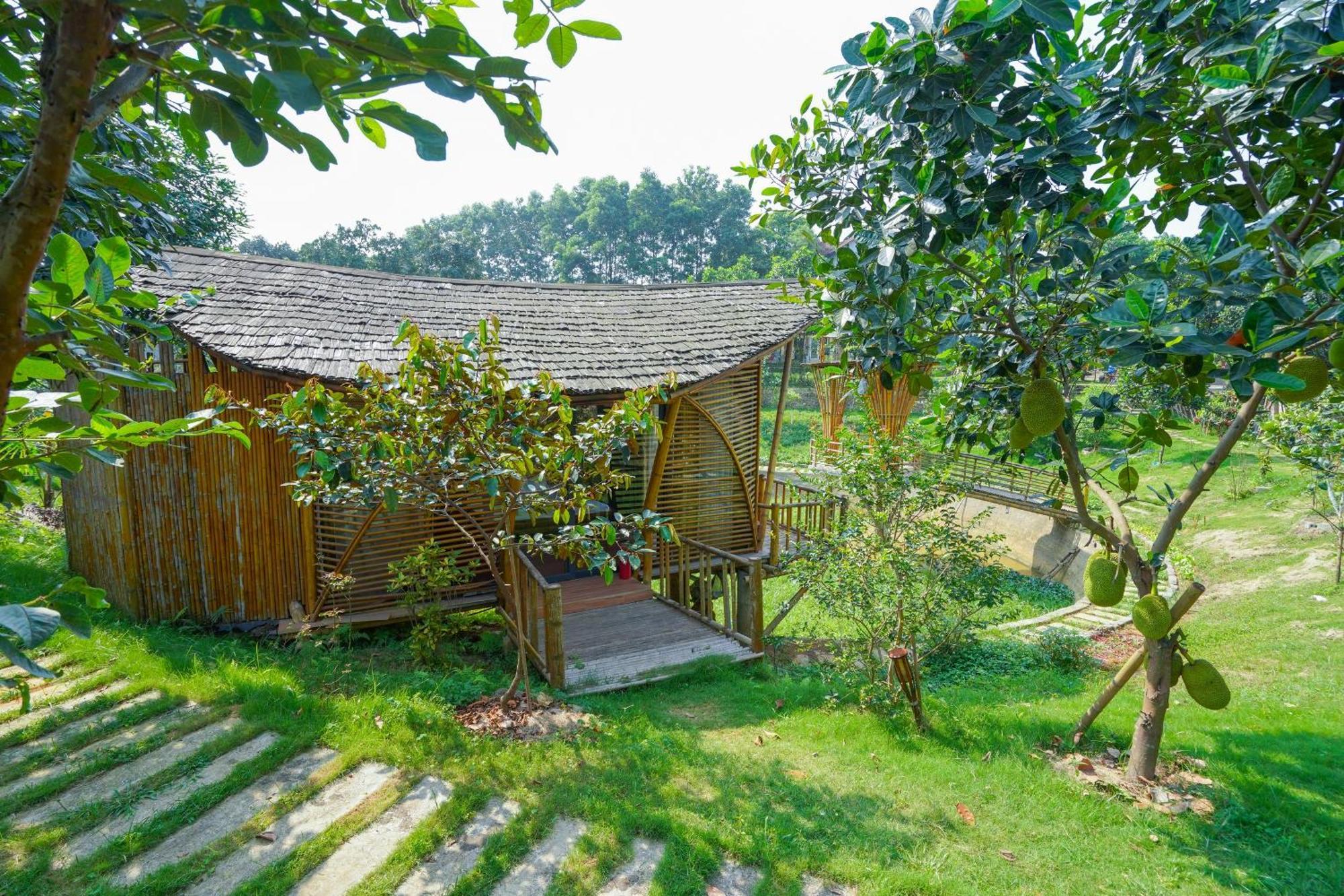 Hotel Little Bee House Trai Vang Exterior foto