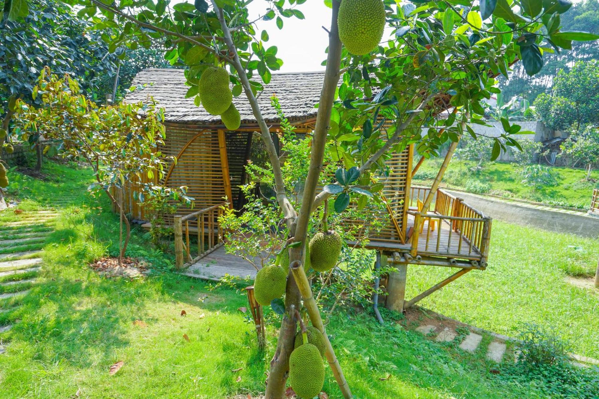 Hotel Little Bee House Trai Vang Exterior foto